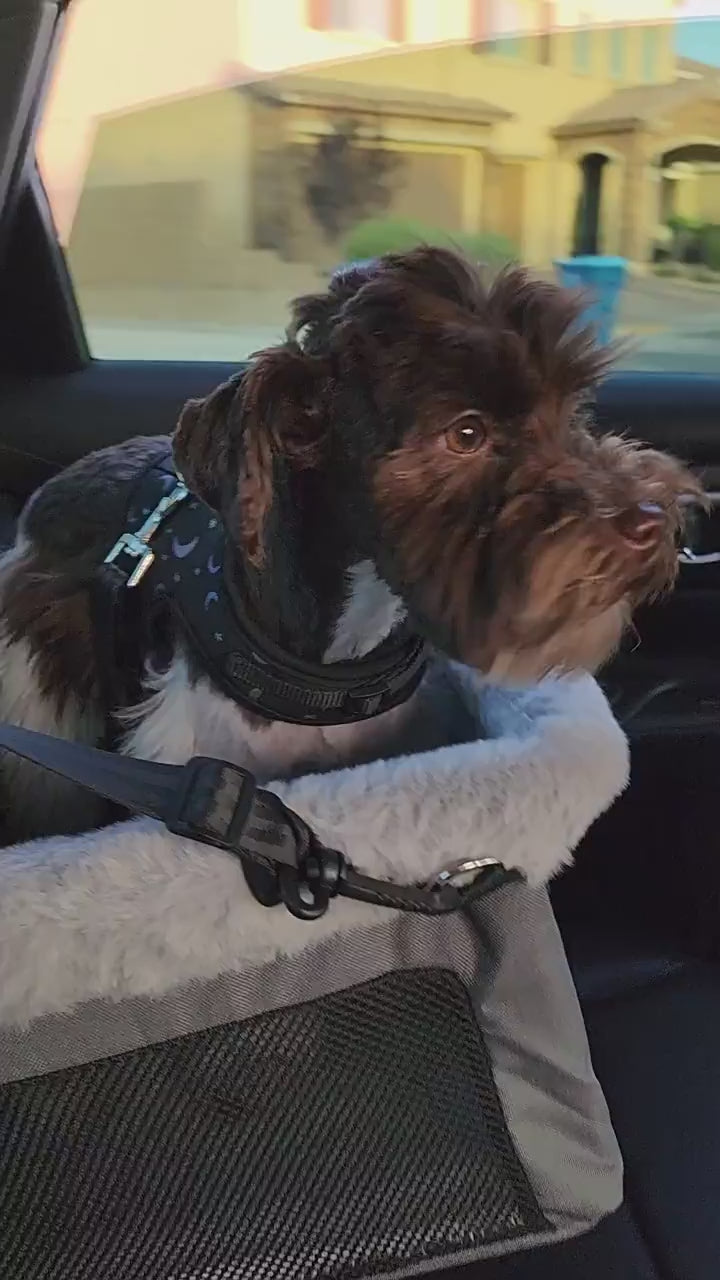 Fully waterproof trunk mat (for pets/cars)